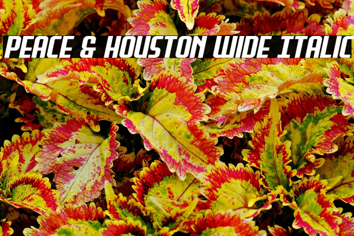 Peace & Houston Wide Italic Example 3