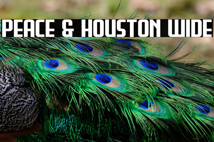 Peace & Houston Wide Example 3