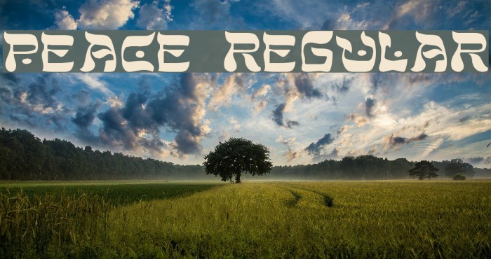 Peace Regular Font examples