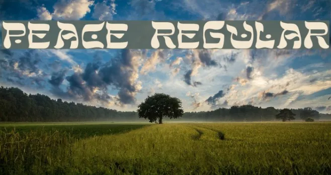 Peace Regular Example 1