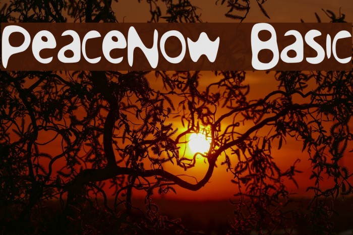 PeaceNow Basic Schriftart examples