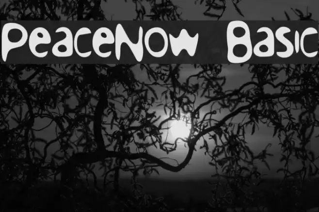 PeaceNow Basic Schriftart examples