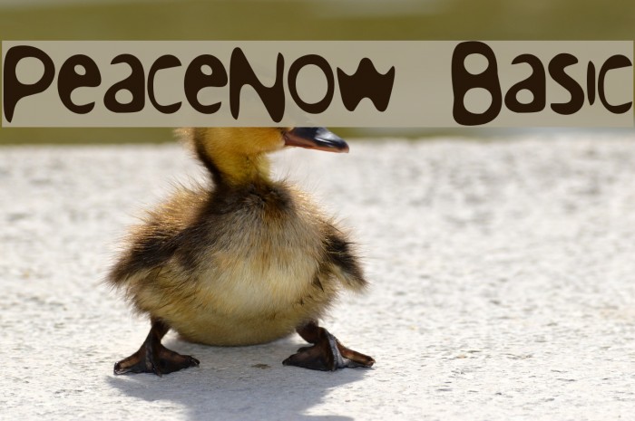PeaceNow Basic Schriftart examples