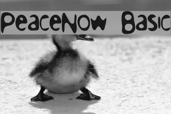 PeaceNow Basic Schriftart examples