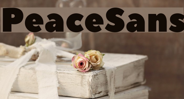 PeaceSans Font examples