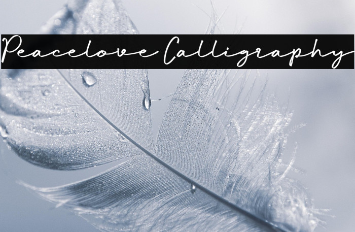 Peacelove Calligraphy Example 1