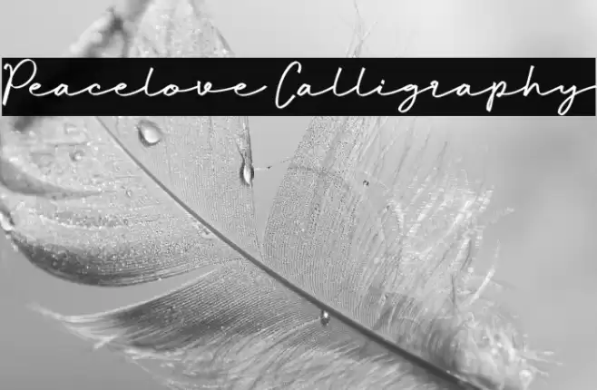 Peacelove Calligraphy Font examples