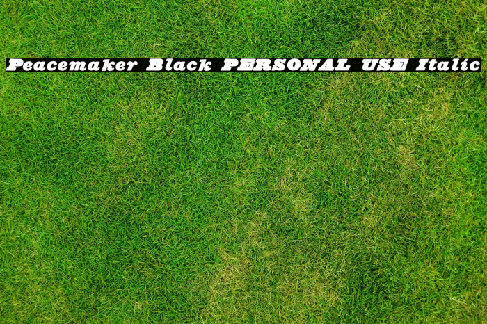 Peacemaker Black PERSONAL USE Italic Example 3