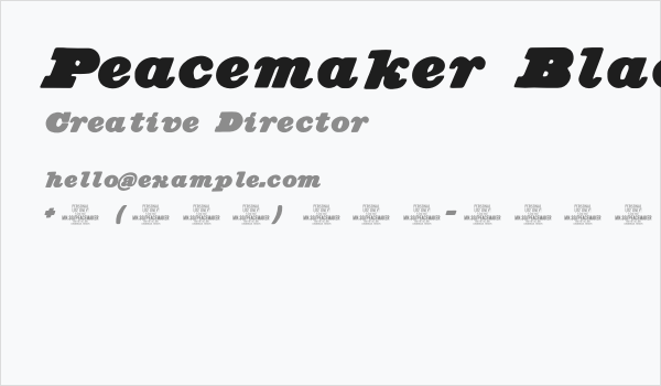Peacemaker Black PERSONAL USE Italic Business Card