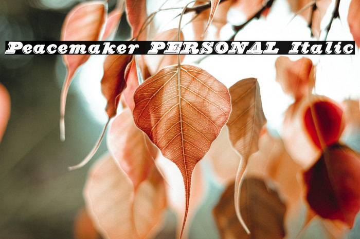 Peacemaker PERSONAL Italic Example 3