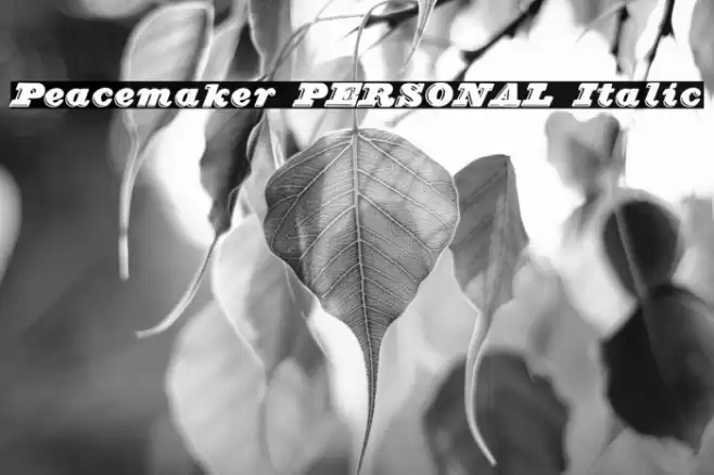 Peacemaker PERSONAL Italic Font examples