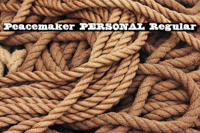Peacemaker PERSONAL Regular Example 3