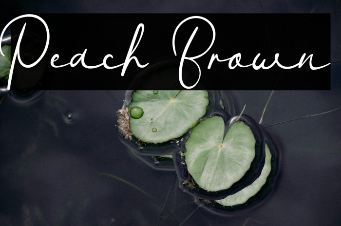 Peach Brown Example 1