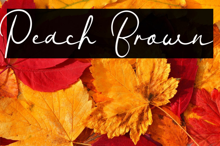 Peach Brown Example 2