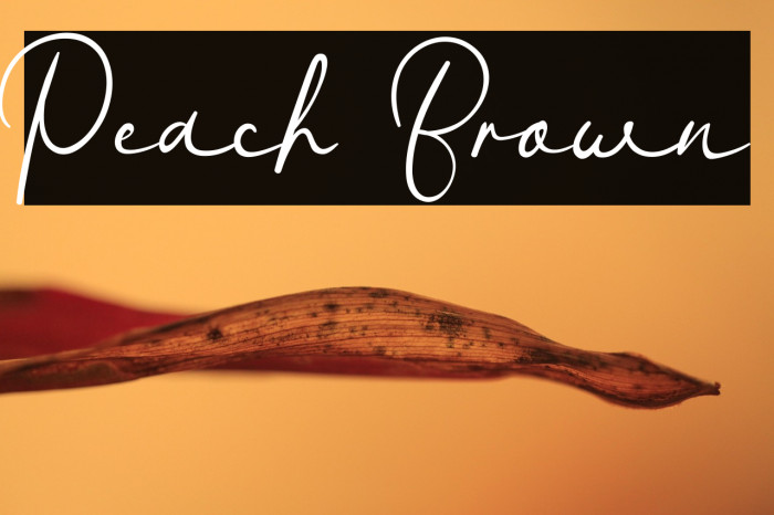 Peach Brown Example 3