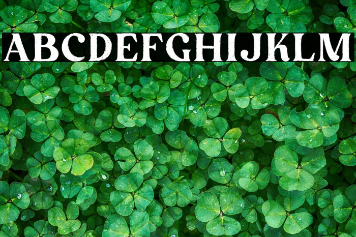 Peach More Regular Example 1