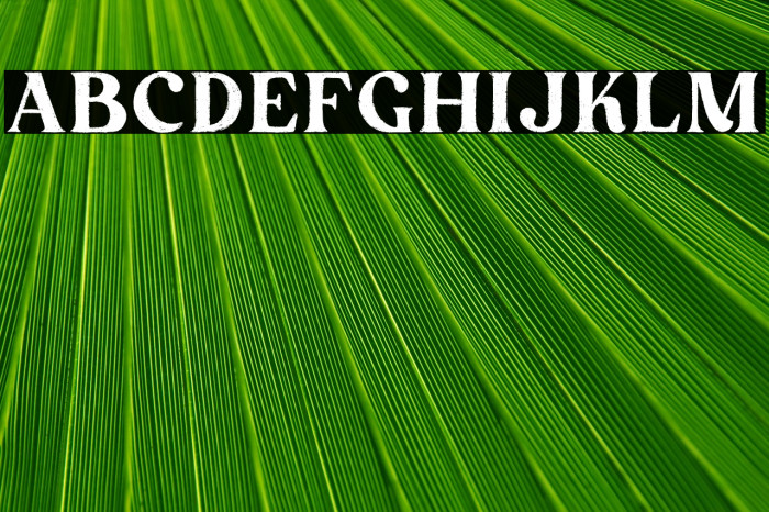 Peach More Regular Example 2