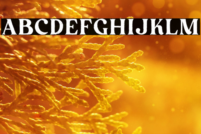 Peach More Regular Example 3