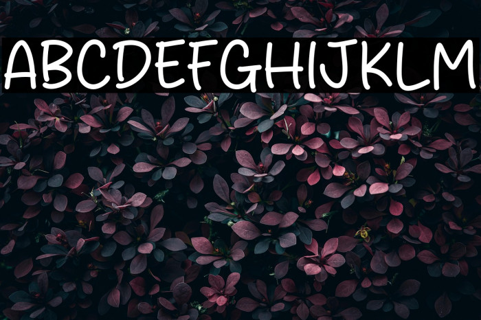 Peach Velvet फ़ॉन्ट examples