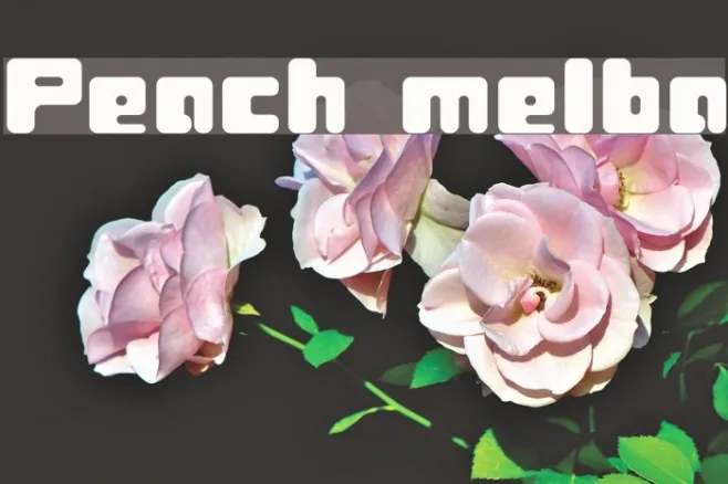 Peach melba Example 2
