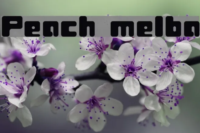 Peach melba Example 3