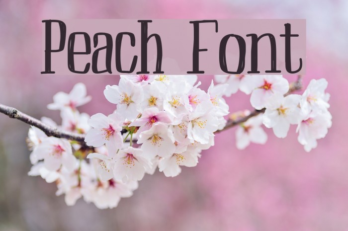 Peach Font examples
