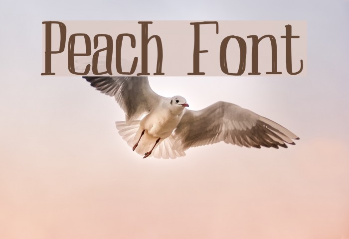 Peach Font examples