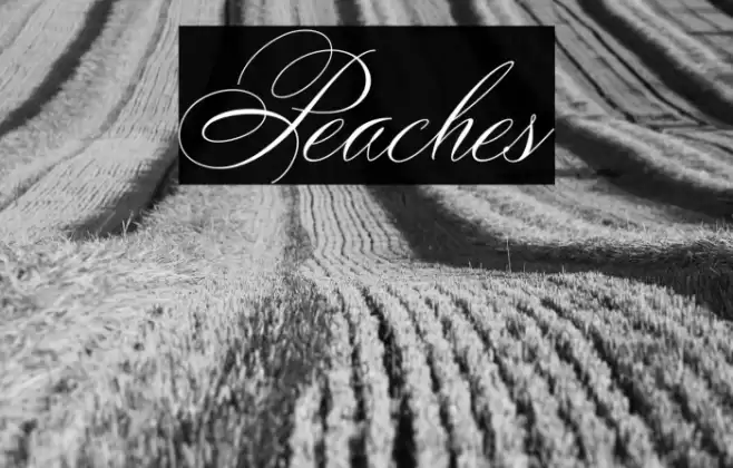 Peaches Font examples