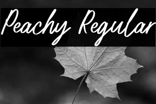 Peachy Regular Fonte examples