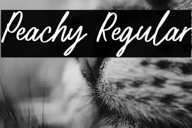 Peachy Regular Fonte examples