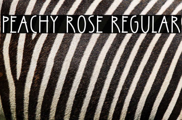 Peachy Rose Regular Example 2