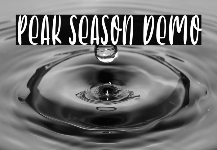 Peak Season Demo Example 2