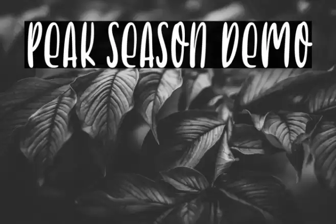 Peak Season Demo Font examples