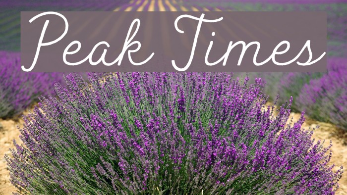 Peak Times Font examples