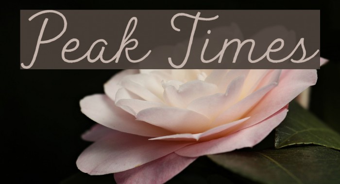 Peak Times Font examples