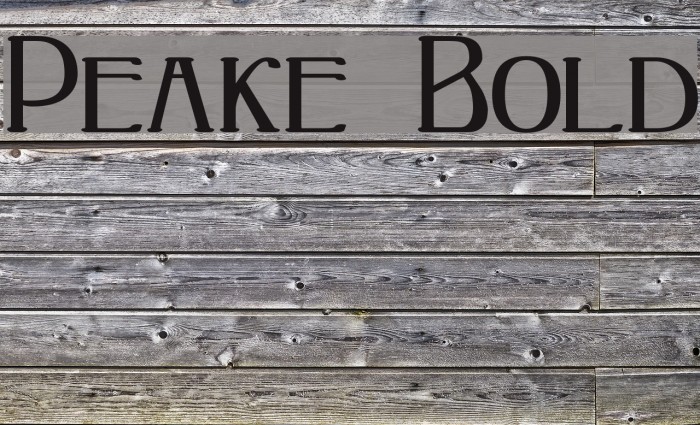 Peake Bold Font examples