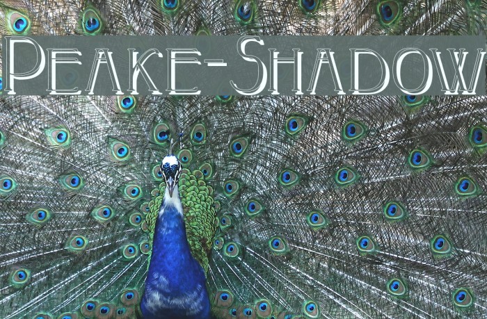 Peake-Shadow Font examples