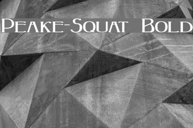 Peake-Squat Bold Font examples