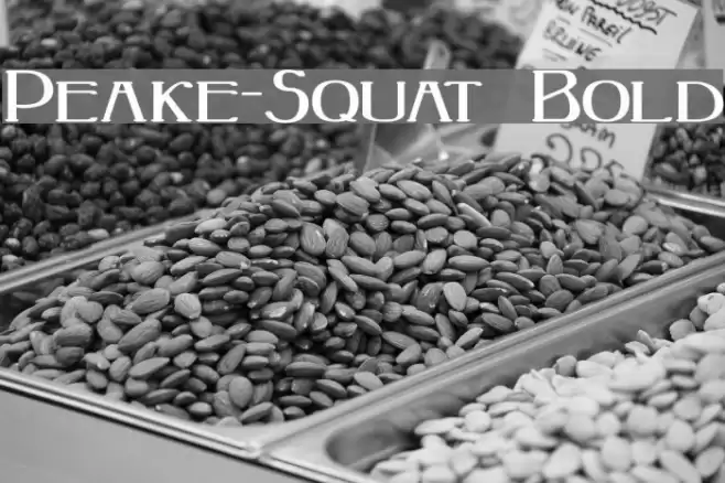 Peake-Squat Bold Font examples
