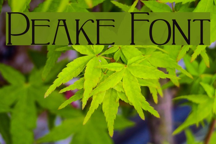 Peake Font examples