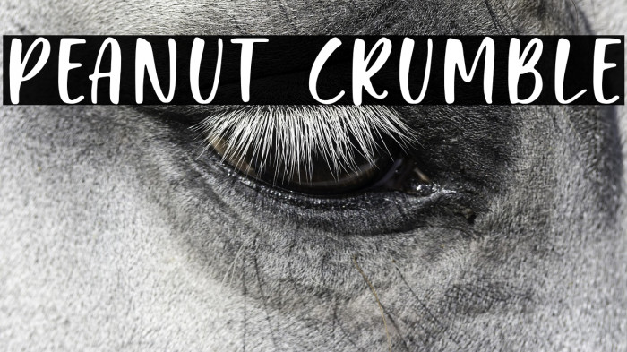Peanut Crumble Example 1