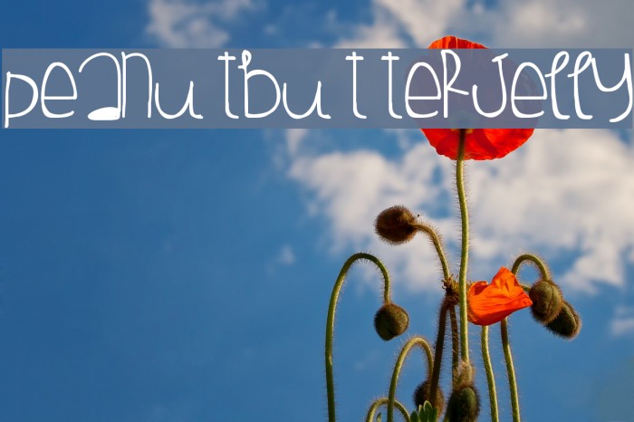 PeanutButterJelly Example 1