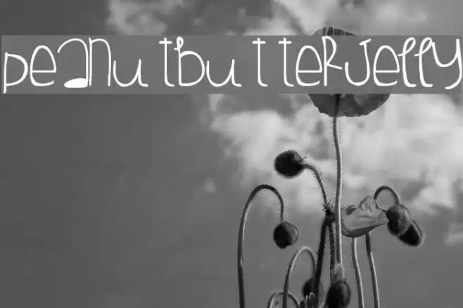 PeanutButterJelly Font examples