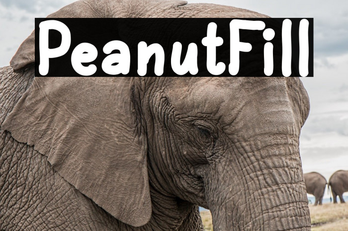 PeanutFill Example 1