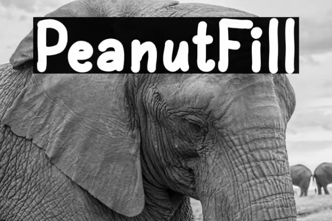 PeanutFill Font examples