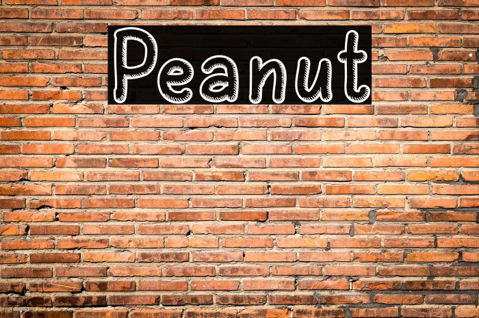 Peanut Example 1