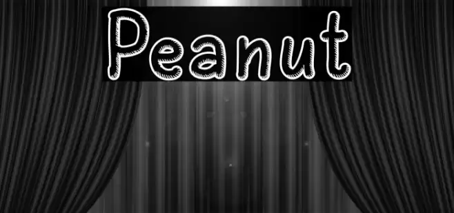 Peanut Font examples