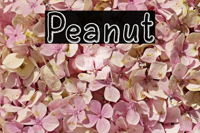 Peanut Example 3