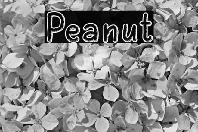 Peanut Font examples