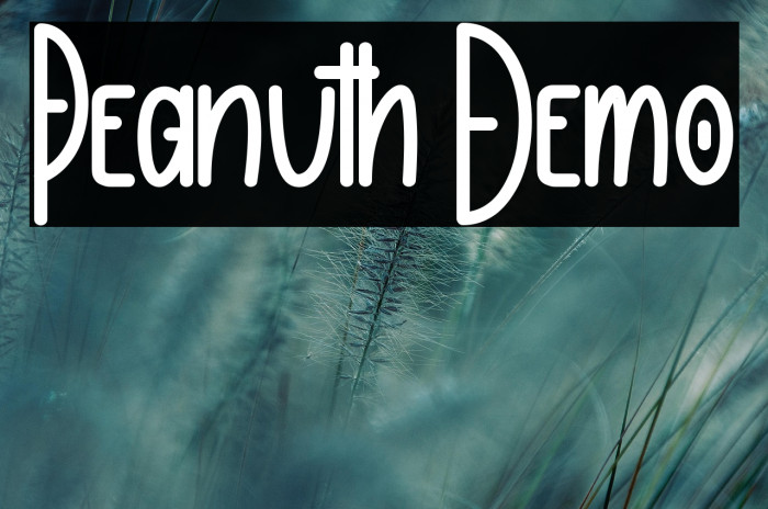 Peanuth Demo Example 2